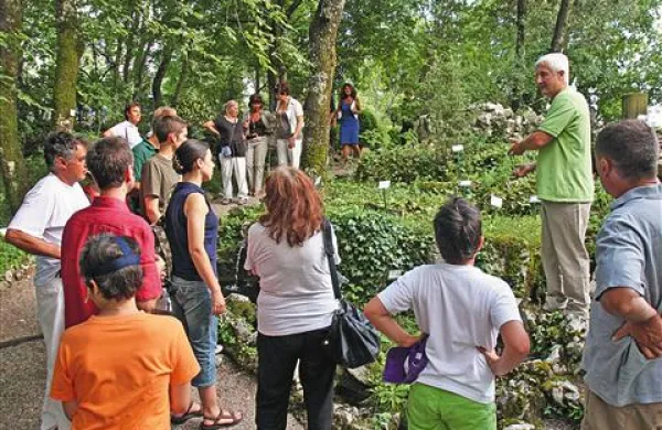 V Carsiani se   posvetijo tako skupinam kot posameznim obiskovalcem.