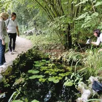 Kraški kali so z obiljem življenja privlačni za ogled mladim in starejšim ljubiteljem narave.