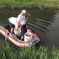 Delavci dežurne Službe za varovanje obalnega morja so iz kanala pobrali približno 180 kilogramov raznih rib. Večinoma so bile manjše ribe, vmes je bilo tudi nekaj cipljev.