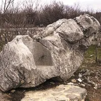 Borojević in tri slovenske bolečine
