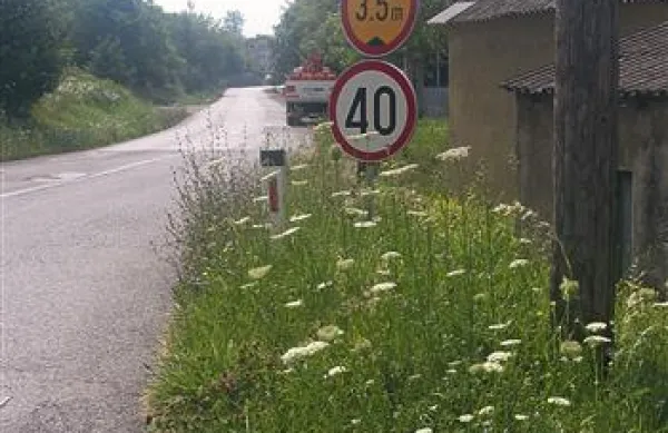 Prometni znak v smeri Lesonita  bo kmalu prerasla trava.  