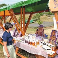 Paleta izdelkov iz sivke postaja čedalje bolj široka