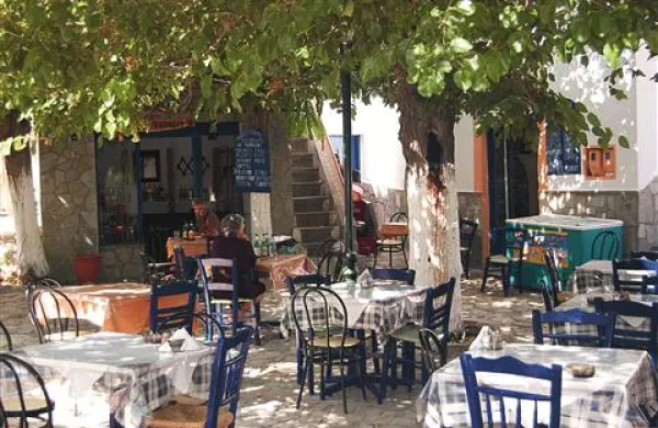 Tradicionalne taverne v senci  platan so vselej priljubljen kulinarični postanek Primorcev, ki dopustujejo v Grčiji.   