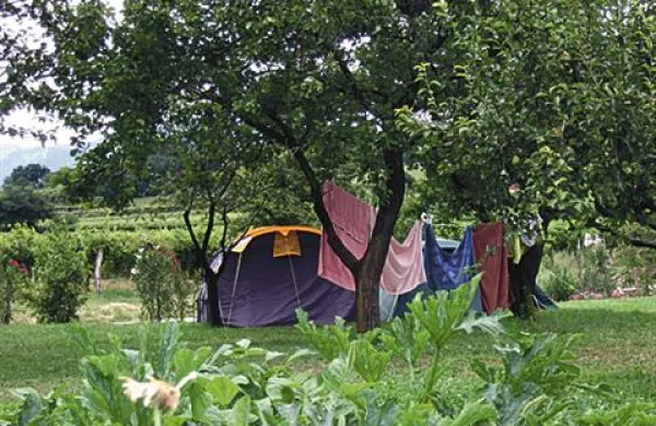 Po kampu v Trnovem so kradli trije Slovaki. Fotografija je simbolična.