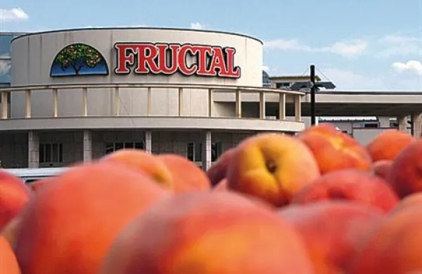 Na Fructalu so doslej že odkupili 220 ton breskev, pričakujejo pa jih prek 2000 ton.