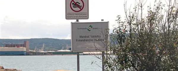 Pristani&scaron;ča -  za kopalce prepovedano