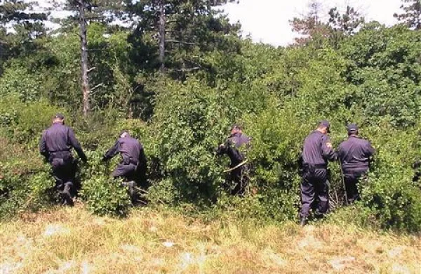 Menicalijevo truplo so slabe tri tedne po izginotju našli v grmovju pod Cerjem.