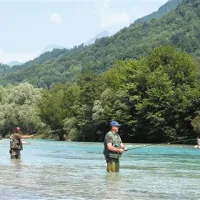 V jezeru  ribari le pet odstotkov ribiških gostov, vsi drugi gredo v struge rek, pravijo v Ribiški družini Tolmin