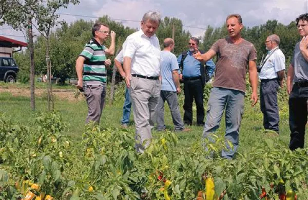 Kmetija Saša Vodopivca iz Orehovelj je ostala brez dobršnega dela zelenjave za prodajo na tržnicah.