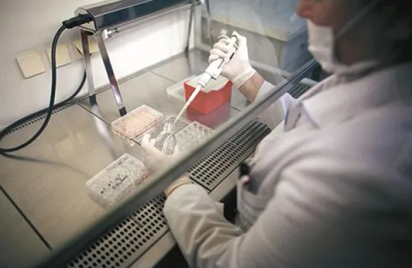 Profesor za fiziologijo na veterinarski fakulteti v Ljubljani in medicinski fakulteti v Mariboru Gregor Majdič pravi, da se iz križanja človeškega in živalskega zarodka ne more razviti novo bitje.
