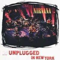 Zelo dobro gledanost je dosegla tudi oddaja MTV Unplugged, na kateri so od leta 1989 v ”izštekani” različici nastopili številni izvajalci.