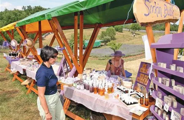 Ekološki pridelki, kot je sivka, lahko skupaj z dediščino soške fronte spodbudijo razmah turizma na Krasu