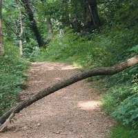 Trim steza v Panovcu je slabo obiskana, težave pa so tudi z vzdrževanjem