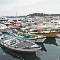  Tradicionalni način vezave plovil v istrskih mandračih se je dobro ohranil v Rovinju, kjer so tudi sicer zelo skrbni do svoje  ladjarske dediščine. Imajo dva muzeja, ob torkih in četrtkih prireditev na morju na batanah s farali, številne publikacije in podžupana z izrednim  posluhom za ohranjanje tradicionalnih plovil Marina Budicina.