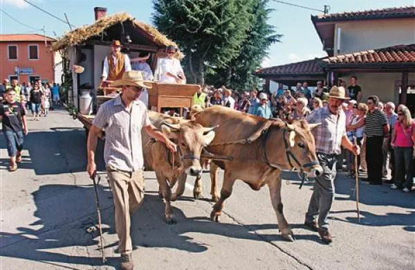 Poleg terana in pršuta je med privlačnejšimi točkami praznika tudi sprevod vozov, na katerih domačini iz kraških vasi predstavljajo stare običaje