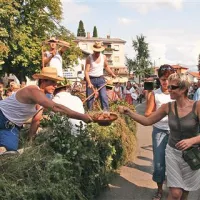 Praznik terana in pršuta vsako leto pritegne 15.000 obiskovalcev. Njegova blagovna znamka ne sme razvodeneti v Festivalu Kras, svarijo nekateri.  