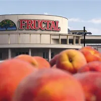 Fructal danes