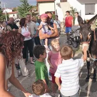 Časi so taki, da otroci domače živali v živo srečajo bolj poredko.