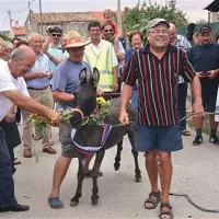 Ovenčani šampion loparske šagre.