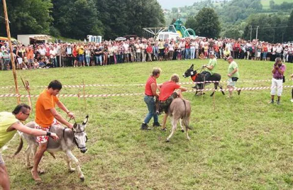 Malo naprej, malo nazaj, da se je le vedelo, čigava beseda je glavna ...