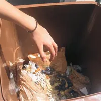 Že prvi dan se je v novih zabojnikih nabralo kar nekaj kuhinjskih odpadkov. 
