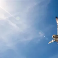 Ne glejte poročil, berite Ibsena