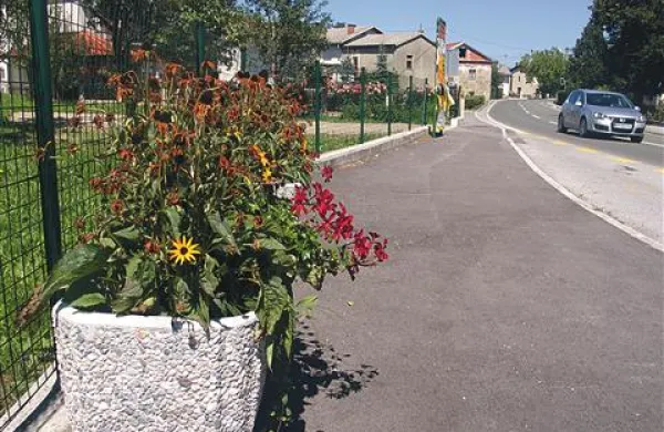 Krajani Kosez se sprašujejo, kdo in zakaj je pomoril rože, ki naj bi krasile vas 