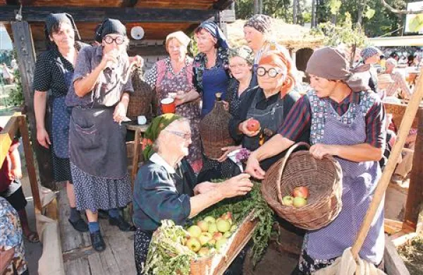 Zmagovalni voz Društva kmetic sežanske regije na temo Brkinska jab'ka