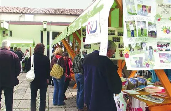 Razglasitev najboljših bo tudi letos spremljal festival, na katerem se bodo predstavila društva in organizacije.