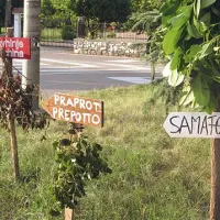 Na italijanski strani k osmicam usmerja več frask kot pri nas.