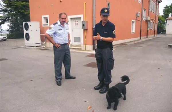 Motor roparjev sta na&scaron;la policijska psa