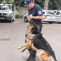 Vodnik policijskega psa Sebastjan Mrak in njegov Rambo se odlično razumeta, kar je tudi pogoj za dobro delo policijskega “teama”.