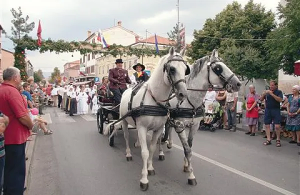 Sprevod, osmice in stojnice  ob Partizanski cesti so vsako leto najbolj zanimiv in privlačen del praznika občine Sežana.