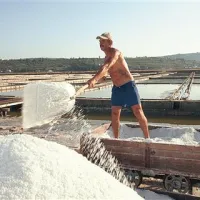  Solinar Klaudio Gei je letos naložil in razložil že 150 ton soli