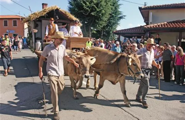 Razvojno društvo Merišče iz Merč