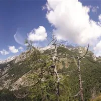 Razgled od Trente čez Mojstrovko in Vršič do Prisojnika