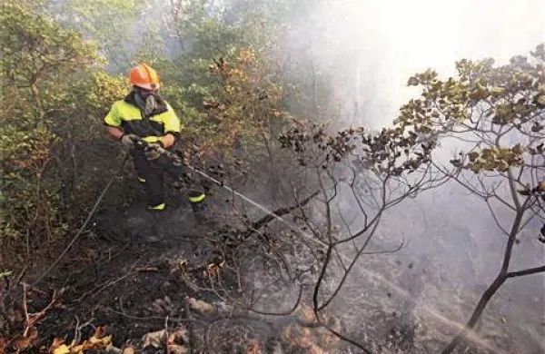 S požarom na krasu se še vedno bori več kot 50 gasilcev, a je pod nadzorom. Foto: Leo Caharija