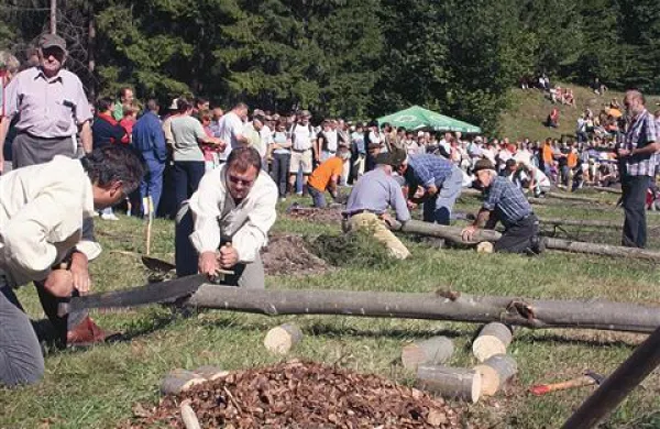 Tradicija ohranjena, oglja pa manjka