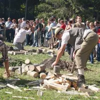 Žaganje lesa je osnova za pripravo ogelnice 