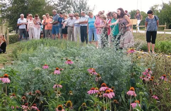 V večjem zeliščnem vrtu lahko obiskovalci spoznajo približno 50 vrst zelišč