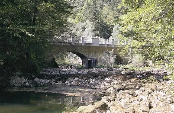 Najkrajšo slovensko reko, 55-metrsko Jezernico, je 'popila' suša. 