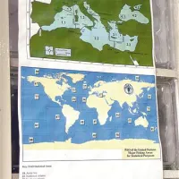 Vsa morja sveta so razdeljena po FAO ribolovnih območjih.  Oznake FAO 37.1, 37.2 in 37.3 pomenijo, da so ribe iz Sredozemskega morja.  Območje severnega Jadrana, kjer ribarijo naši ribiči,  ima oznako 37.2.1. Bolj podjetni prodajalci zemljevid ribolovnih območij obesijo v ribarnicah.