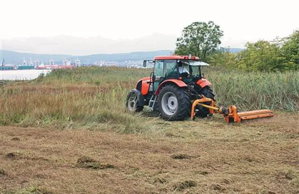 Očiščen in pokošen slani travnik med Sv. Katarino in Sv. Nikolajem pri Ankaranu naj bi izredno ogroženi klasnati tavžentroži omogočal preživetje.