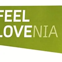 Medijski in&scaron;pektor nad Popovičevo glasilo