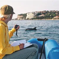 Pri opazovanju delfinov je potrebna popolna zbranost, sicer ga lahko zgrešimo