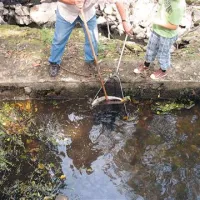 V Nanoščici je  poginilo približno 150 kilogramov rib