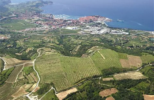 Izolsko golf igrišče bi radi zgradili na območju Baredov, kjer pa v okolici ni niti enega vodnega vira