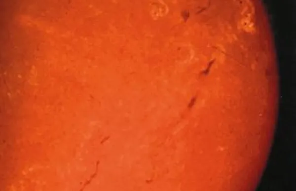 Planet Kepler 16-b kroži okrog dveh sonc.