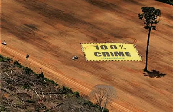 Organizacija Greenpeace je stara 40 let