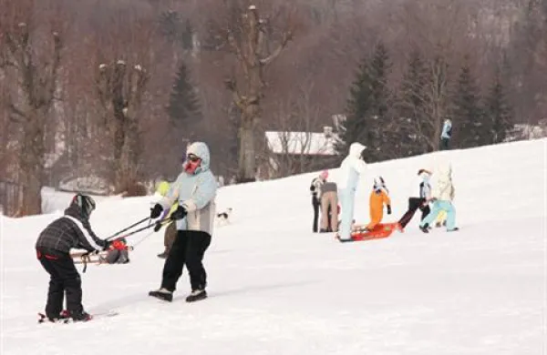 Šolski minister, ki opravlja tekoče posle, Igor Lukšič, je znova zavrnil očitke, da je zaradi uvedbe enotnega termina zimskih počitnic nastala gospodarska škoda